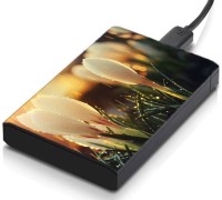 meSleep HD44326 Hard Disk Skin(Multicolor)   Laptop Accessories  (meSleep)