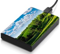 meSleep HD33110 Hard Disk Skin(Multicolor)   Laptop Accessories  (meSleep)