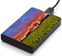 meSleep HD29030 Hard Disk Skin(Multicolor)   Laptop Accessories  (meSleep)