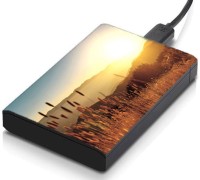 meSleep HD21185 Hard Disk Skin(Multicolor)   Laptop Accessories  (meSleep)