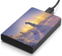 meSleep HD29167 Hard Disk Skin(Multicolor)   Laptop Accessories  (meSleep)