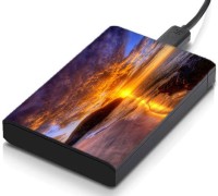 meSleep HD36392 Hard Disk Skin(Multicolor)   Laptop Accessories  (meSleep)