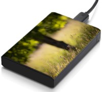 meSleep HD31033 Hard Disk Skin(Multicolor)   Laptop Accessories  (meSleep)