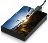 meSleep HD38303 Hard Disk Skin(Multicolor)   Laptop Accessories  (meSleep)