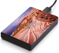 meSleep HD38152 Hard Disk Skin(Multicolor)   Laptop Accessories  (meSleep)