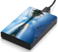 meSleep HD45341 Hard Disk Skin(Multicolor)   Laptop Accessories  (meSleep)