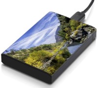 meSleep HD43296 Hard Disk Skin(Multicolor)   Laptop Accessories  (meSleep)