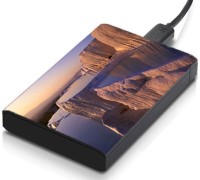 meSleep HD45253 Hard Disk Skin(Multicolor)   Laptop Accessories  (meSleep)