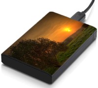 meSleep HD28098 Hard Disk Skin(Multicolor)   Laptop Accessories  (meSleep)