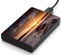 meSleep HD29304 Hard Disk Skin(Multicolor)   Laptop Accessories  (meSleep)