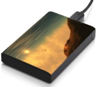 meSleep HD28118 Hard Disk Skin(Multicolor)   Laptop Accessories  (meSleep)