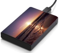 meSleep HD47083 Hard Disk Skin(Multicolor)   Laptop Accessories  (meSleep)