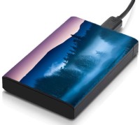 meSleep HD37335 Hard Disk Skin(Multicolor)   Laptop Accessories  (meSleep)