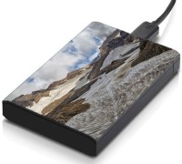 meSleep HD43387 Hard Disk Skin(Multicolor)   Laptop Accessories  (meSleep)