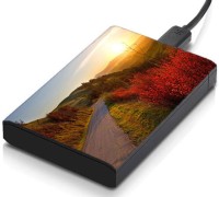 meSleep HD46168 Hard Disk Skin(Multicolor)   Laptop Accessories  (meSleep)