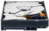 WD 1 TB Black Desktop Internal Hard Drive (WD1002FAEX)(Interface: SATA, Form Factor: 3.5 inch)