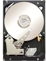 Seagate Constellation ES 2 TB Desktop Internal Hard Disk Drive (HDD) (ST2000NM0011)(Interface: SATA, Form Factor: 3.5 inch)