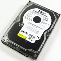 WD av 160 GB Desktop Internal Hard Disk Drive (WD1600AVBS)