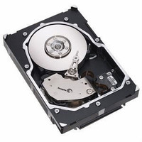 Seagate Cheetah 15K.5 146.8 GB Desktop Internal Hard Disk Drive (HDD) (ST3146855LC)(Interface: SCSI, Form Factor: 3.5 inch)