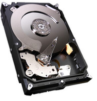 Seagate Barracuda 3 TB Desktop Internal Hard Disk Drive (HDD) (ST3000DM001)