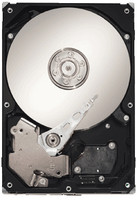 Seagate SV 35.5 500 GB Desktop Internal Hard Disk Drive (HDD) (ST3500411SV)(Interface: SATA, Form Factor: 3.5 inch)