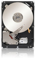Seagate Constellation ES 4 TB Desktop Internal Hard Disk Drive (ST4000NM0033)