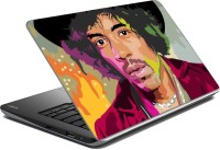 Vprint musical personality Vinyl Laptop Decal 14   Laptop Accessories  (Vprint)