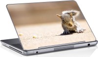 Sai Enterprises Squirrels vinyl Laptop Decal 15.6   Laptop Accessories  (Sai Enterprises)