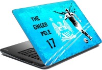 View Vprint The Ginger Pele Vinyl Laptop Decal 14 Laptop Accessories Price Online(Vprint)