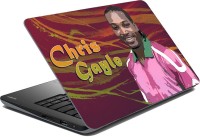 Vprint Chris Gayle Vinyl Laptop Decal 14   Laptop Accessories  (Vprint)