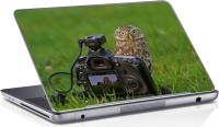 Sai Enterprises owl bird vinyl Laptop Decal 15.6   Laptop Accessories  (Sai Enterprises)