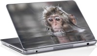 Sai Enterprises monkey vinyl Laptop Decal 15.6   Laptop Accessories  (Sai Enterprises)