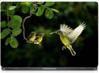Ganesh Arts Hummingbird with chicks HD High Quality Eco vinyl Laptop Decal 15.6   Laptop Accessories  (Ganesh Arts)