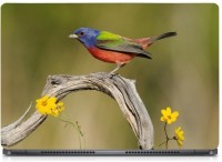 Ganesh Arts Cute Colorful Bird HD High Quality Eco vinyl Laptop Decal 15.6   Laptop Accessories  (Ganesh Arts)
