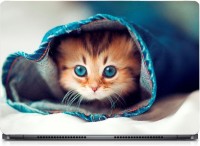 Ganesh Arts Blue Eyes Cat in Jeans Sparkle Laptop Skin with Screen Protector & KeyGuard Skin HD High Quality Eco vinyl Laptop Decal 15.6   Laptop Accessories  (Ganesh Arts)