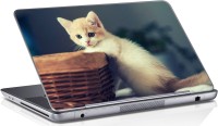 Sai Enterprises kitten_cat_ vinyl Laptop Decal 15.6   Laptop Accessories  (Sai Enterprises)