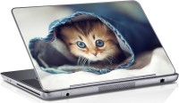Sai Enterprises Jeans_cats_animal vinyl Laptop Decal 15.6   Laptop Accessories  (Sai Enterprises)