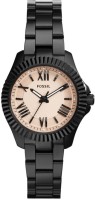 Fossil AM4614 Cecile Analog Watch For Women