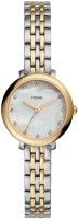 Fossil ES4030 JACQUELINE SMALL Analog Watch For Women