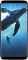 Samsung Galaxy S8 Plus (Maple Gold, 64 GB)(4 GB RAM)