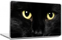 HD Arts Black Cat with Golden Eyes ECO Vinyl Laptop Decal 15.6   Laptop Accessories  (HD Arts)