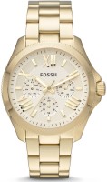Fossil AM4510 Cecile Analog Watch For Women