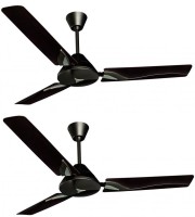 Crompton Flyleaf Ember pack of 2 fans 1200 mm 3 Blade Ceiling Fan(Ember, Pack of 2)