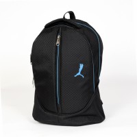 Fipple 14 inch Laptop Backpack(Blue)   Laptop Accessories  (Fipple)