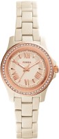 Fossil CE1090 CECILE Analog Watch For Women