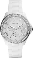 Fossil CE1081  Analog Watch For Women