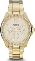 Fossil AM4482 Cecile Analog Watch For Women