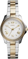 Fossil AM4609  Analog Watch For Women
