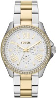 Fossil AM4543 Cecile Analog Watch For Men