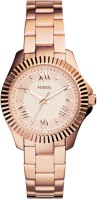 Fossil AM4611 Cecile Analog Watch For Women